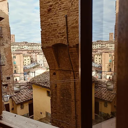 Siena Nel Campo 1260 Gestshortrentsiena